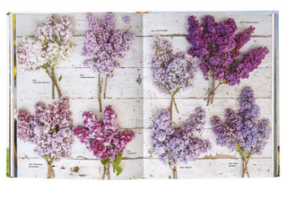 Floret Farm's A Year in Flowers Book