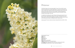 Lilacs Home & Garden Coffee Table Books