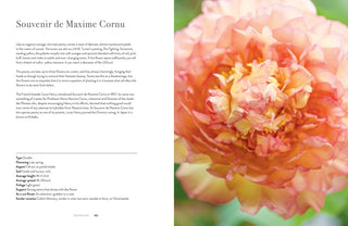 Peonies Home & Garden Coffee Table Book