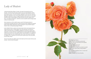 Vintage Roses Home & Garden Coffee Table Book