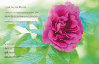 Vintage Roses Home & Garden Coffee Table Book