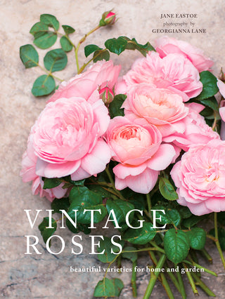 Vintage Roses Home & Garden Coffee Table Book