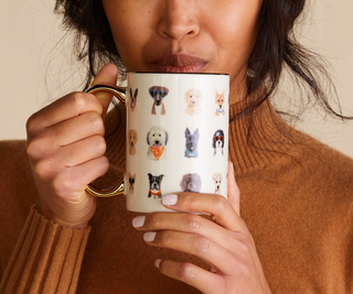 Dog Days of Spring Porcelain Mug