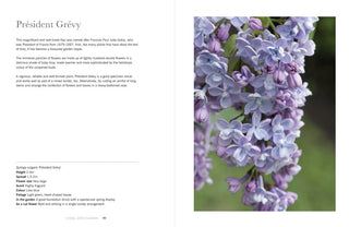 Lilacs Home & Garden Coffee Table Books