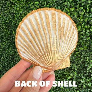 Hand holding a shell with 'BACK OF SHELL' text against a green grass background